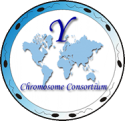 YCC-Logo.png