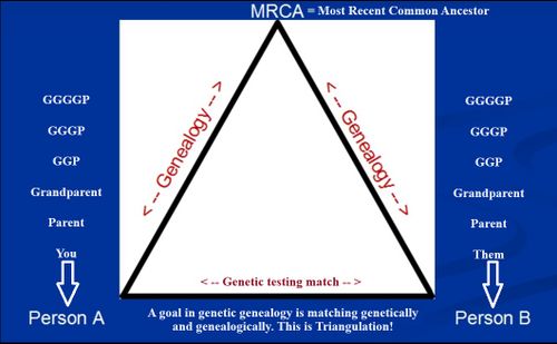 Triangulation - ISOGG Wiki