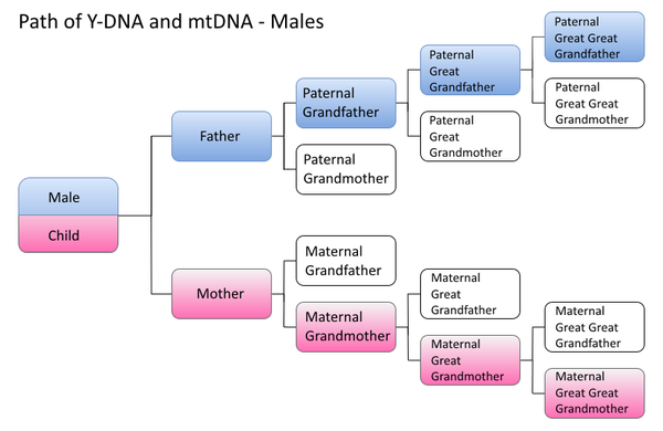 DNA dating wiki