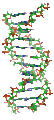 DNA orbit animated small-180x121.gif